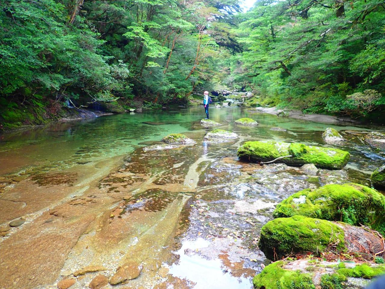 Yakushima Cottage Morino Fairy All Cotage With Open-Air Bath Yakushima (Kagoshima) Exterior foto